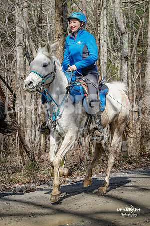 TNP-AppleRd-61