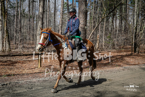 TNP-AppleRd-136