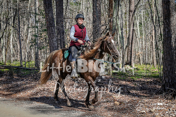 TNP-AppleRd-108