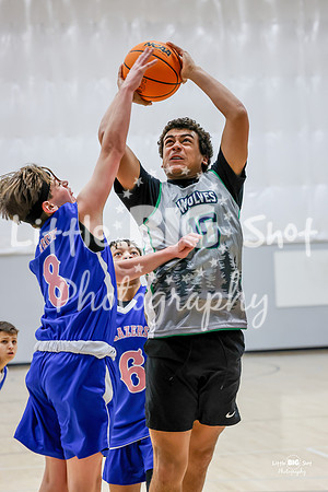 THS-Feeder-8B-52a