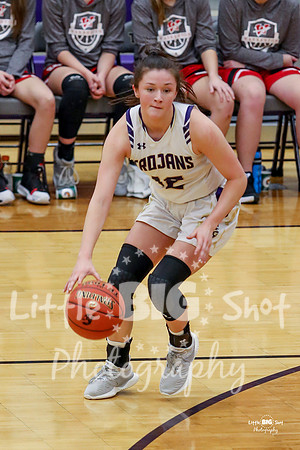 Troy-WHS-60