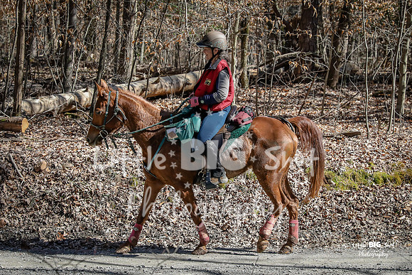 TNP-AppleRd-74