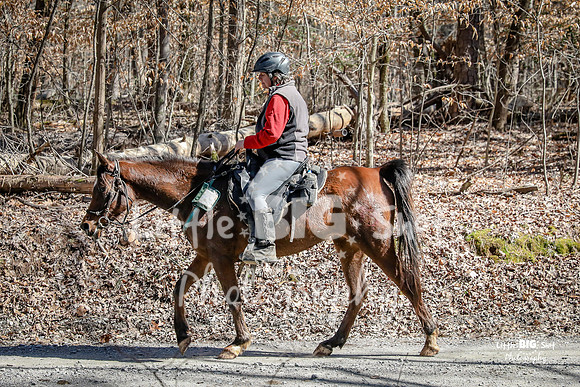 TNP-AppleRd-75