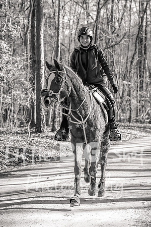 TNP-Finish-14BW