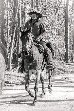 TNP-Finish-15BW