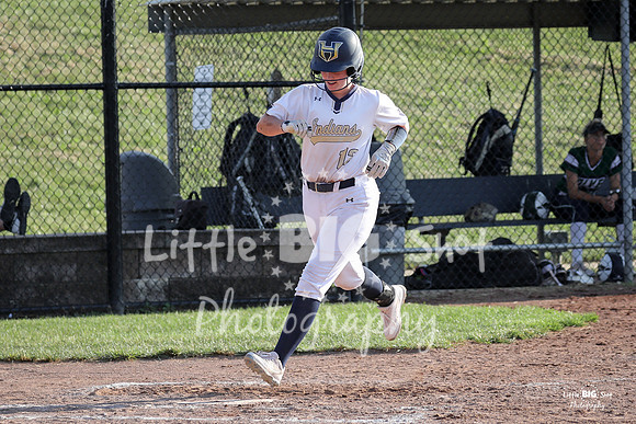 Holt-201