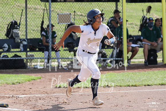 Holt-20