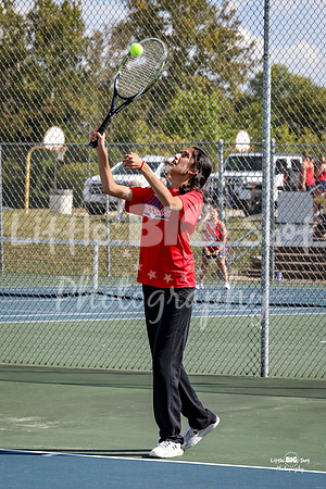 LHS-JV-41