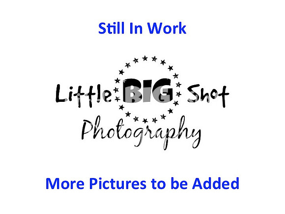 Slide2