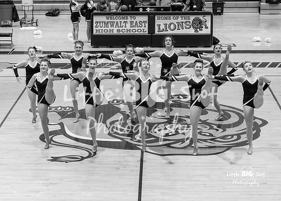 FZEdance-10-bw