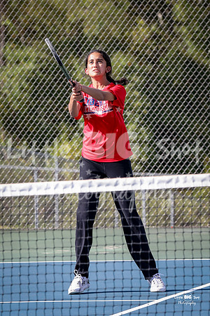 LHS-JV-48