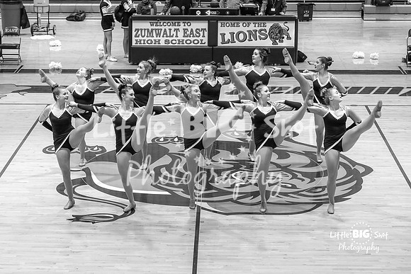 FZEdance-09-bw